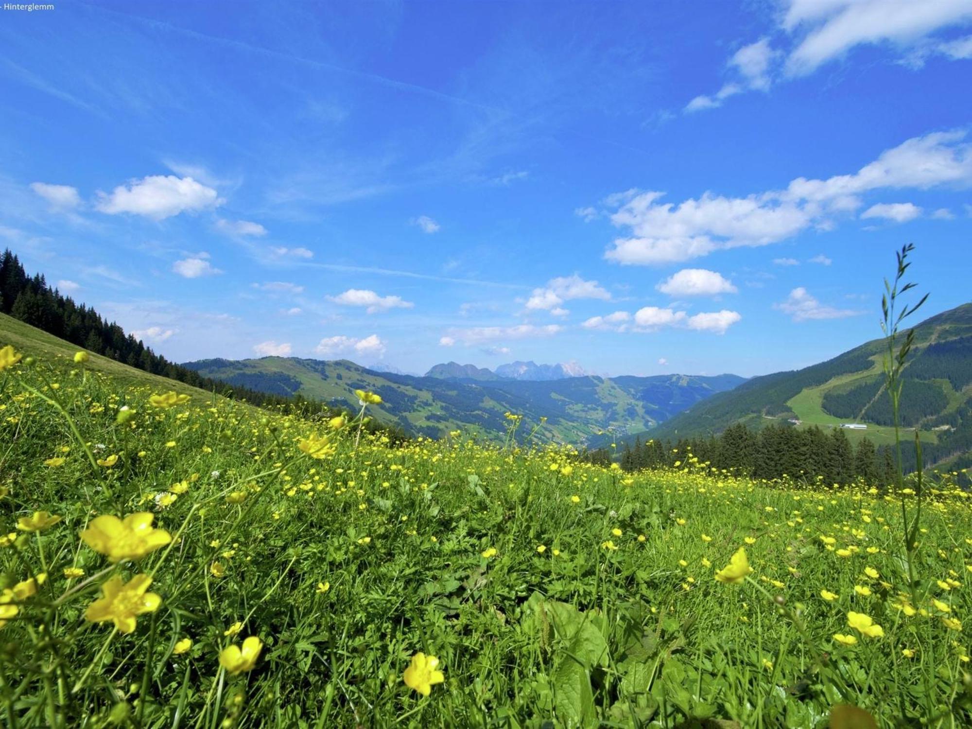 Large Chalet Apartment In Saalbach Hinterglemm Экстерьер фото